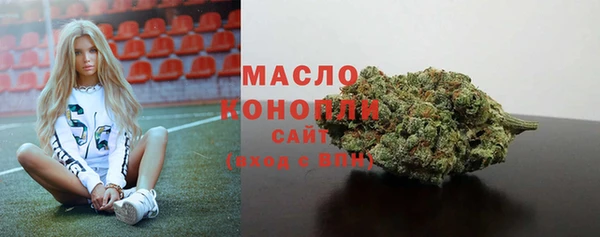 винт Абаза