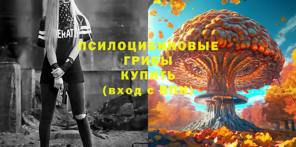 героин Алексин