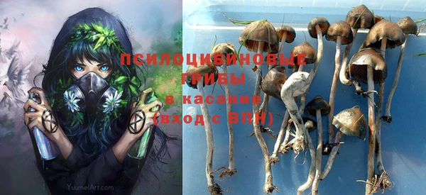 шишки Алзамай