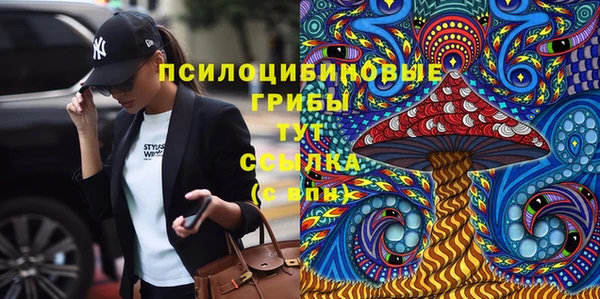 героин Алексин
