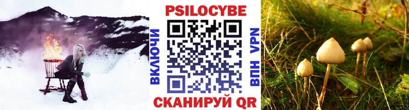 Галлюциногенные грибы Magic Shrooms  блэк спрут tor  Кинель 