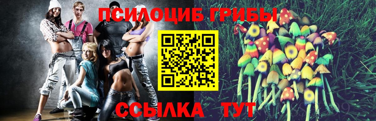 Псилоцибиновые грибы мухоморы  Вход с VPN  Кинель 
