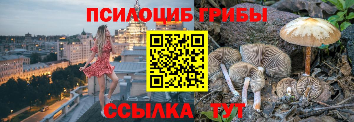 Галлюциногенные грибы мицелий Кинель